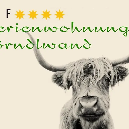Hoerndlwand Apartment Ruhpolding